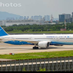 人生路漫漫，白鹭常相伴